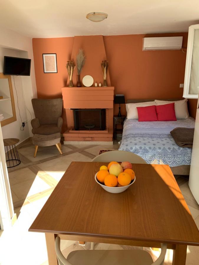 Zacharos Elegant Apartment *